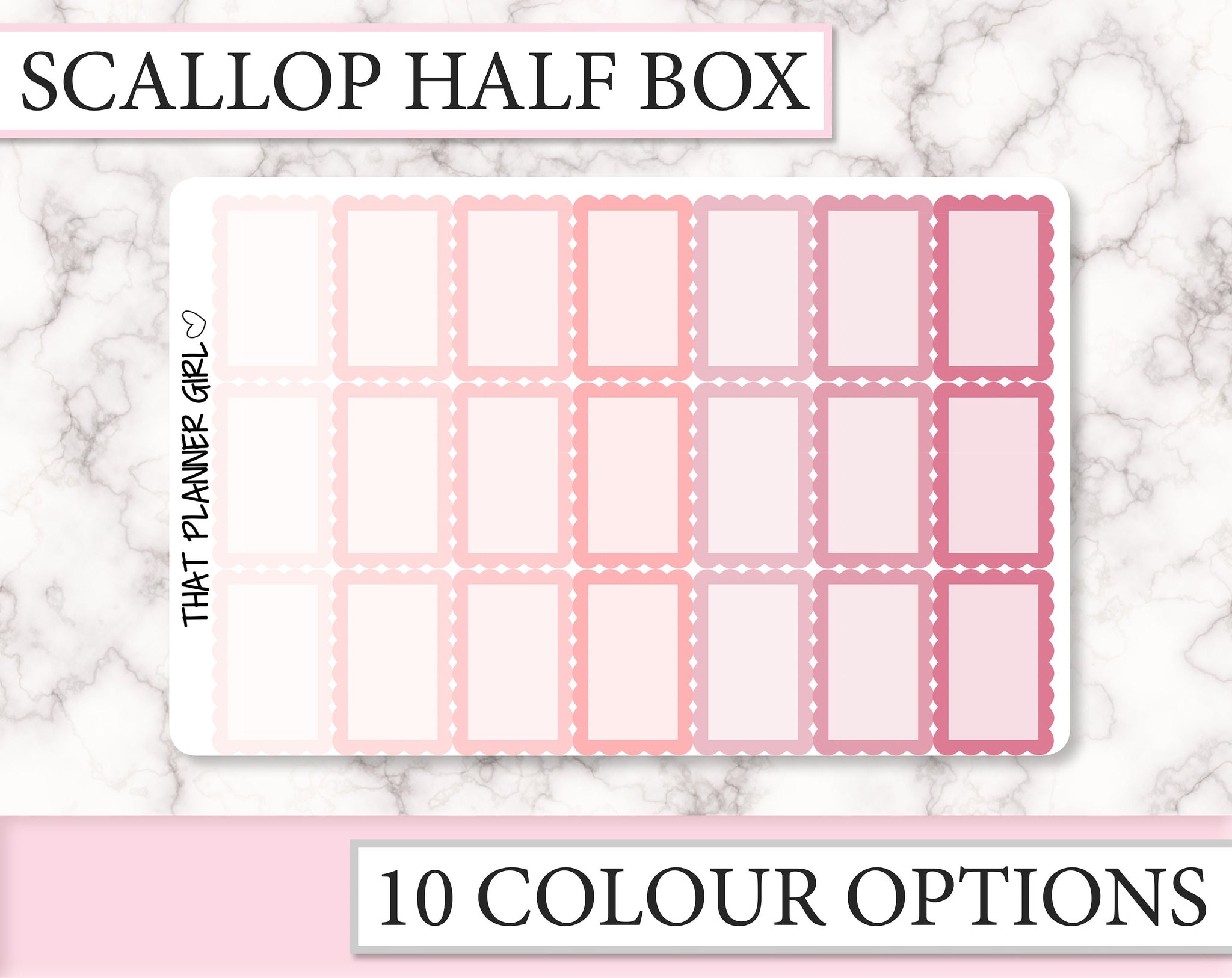 Scallop Half Box | F014