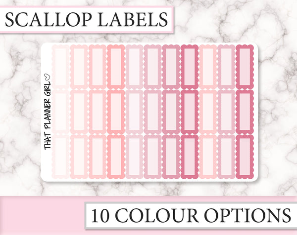 Scallop Label Boxes | F021